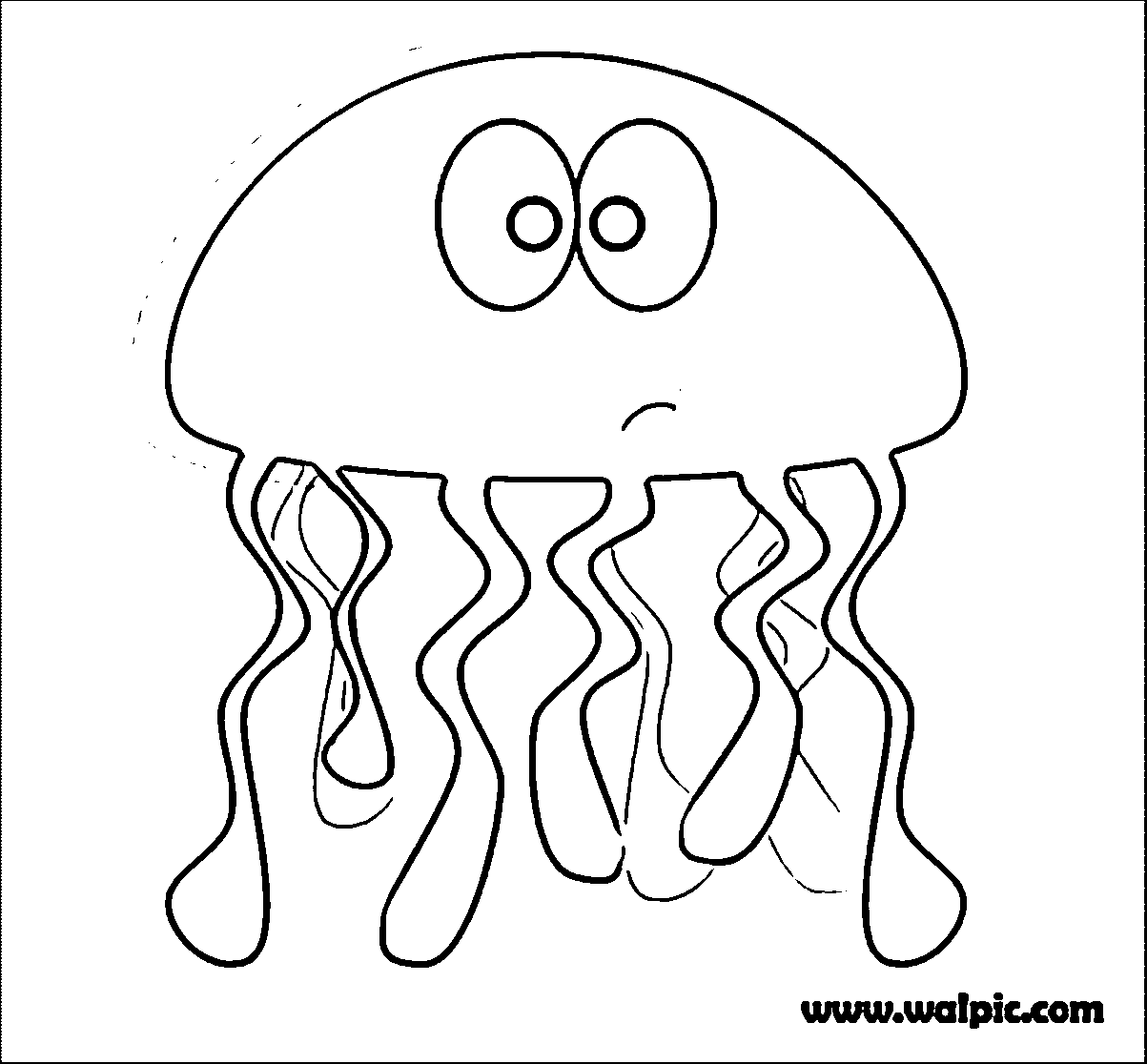 Jellyfish jelly fish clip art clipart wikiclipart