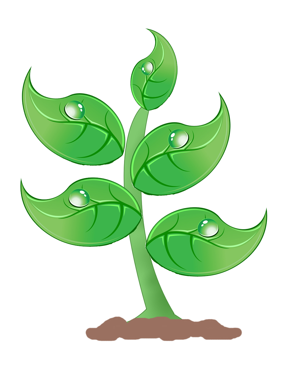 Plant clipart free download clip art on