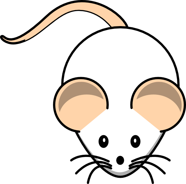 Rat clip art at vector clip art free