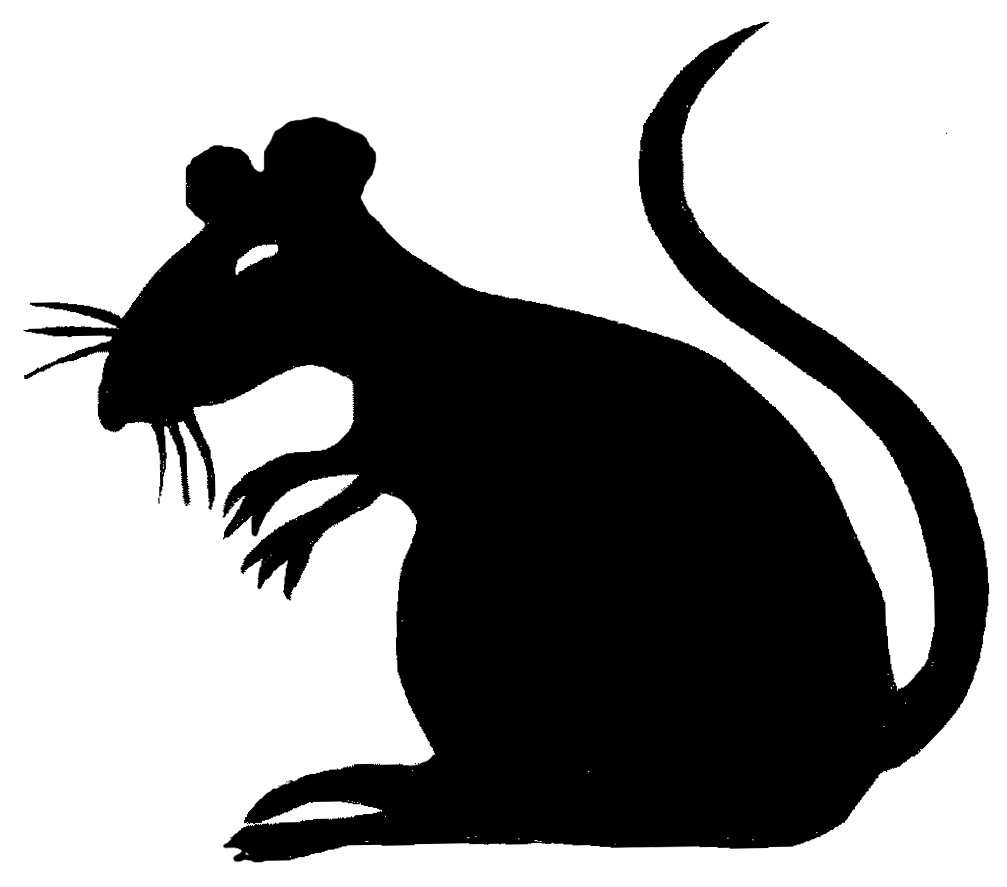 Rat clip art clipart photo 2