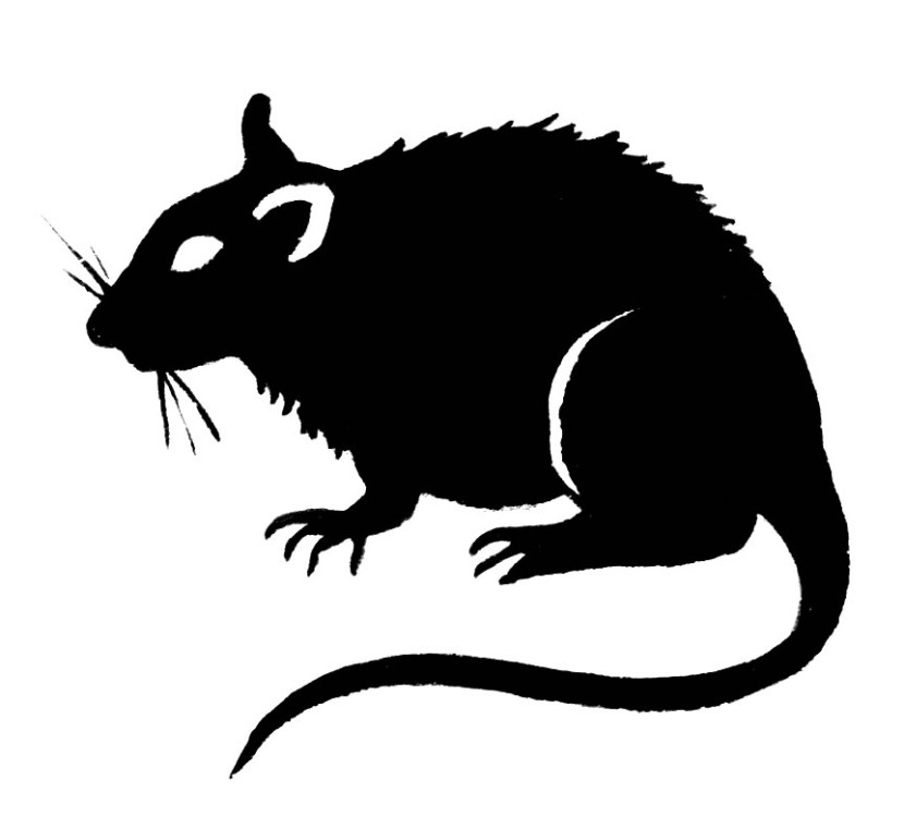 Rat clipart 3