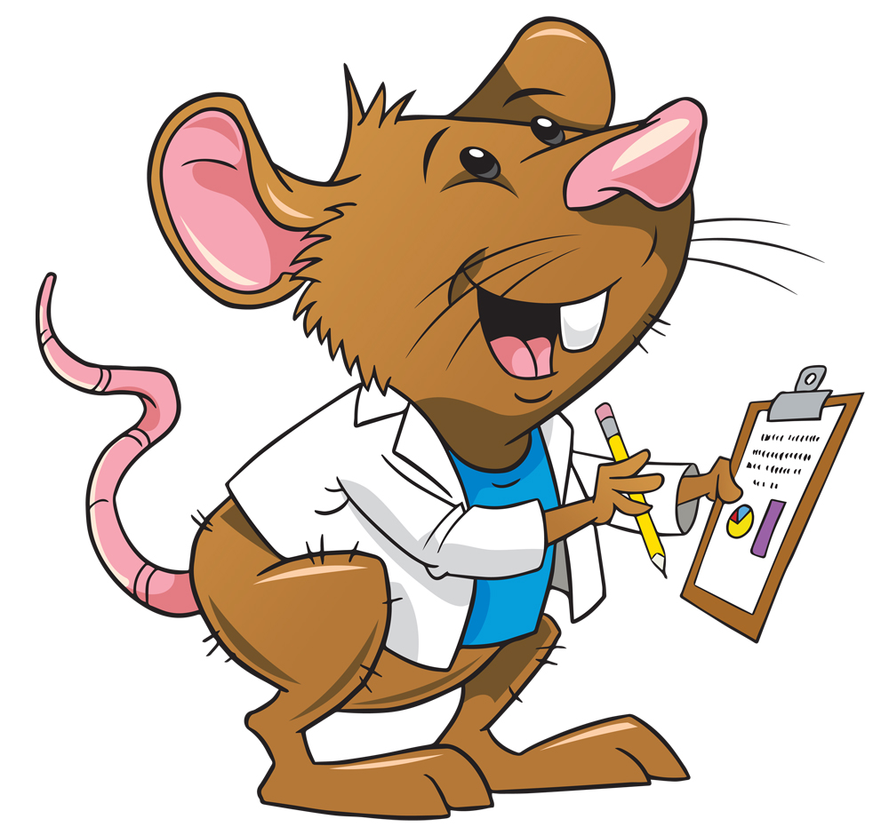 Rat clipart free download clip art on 4