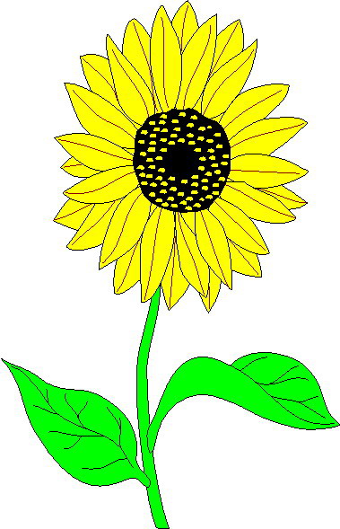 Sunflower clip art 2