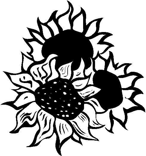 Sunflower clip art 4