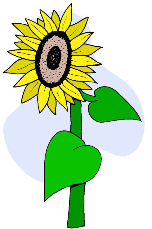 Sunflower clip art 5