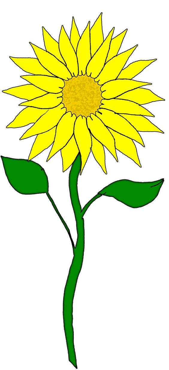 Sunflower clip art clipartfest