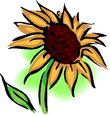 Sunflower clip art free clipart images clipartbold clipartix 5