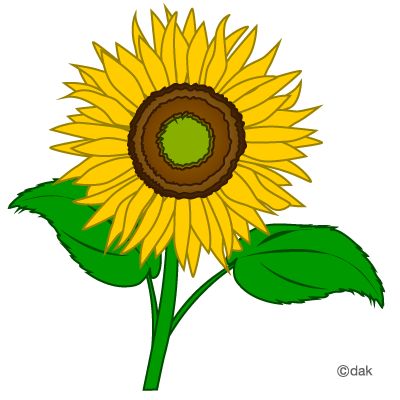 Sunflower clip art free clipart images clipartbold clipartix