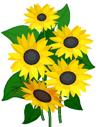 Sunflower clipart 2