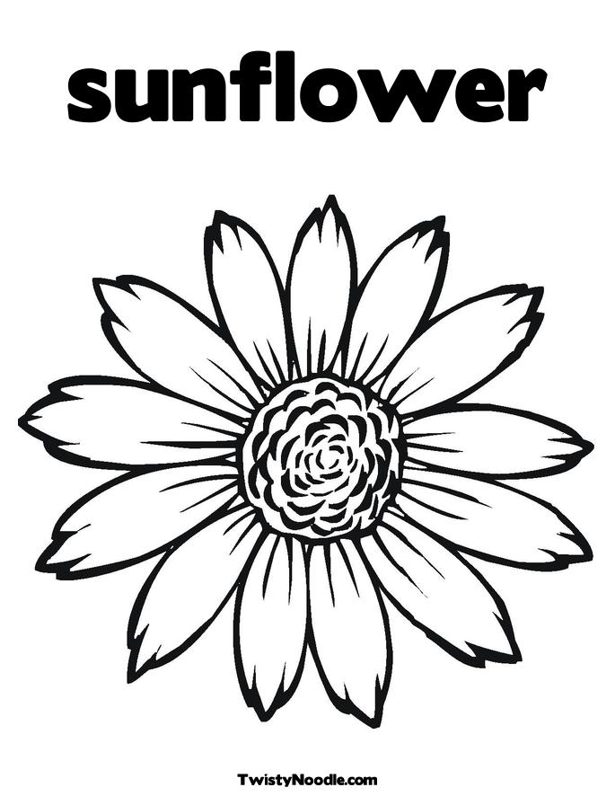 Sunflower outline clipart kid 2