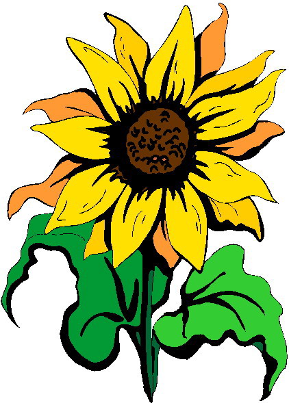 Sunflower seed clipart free images