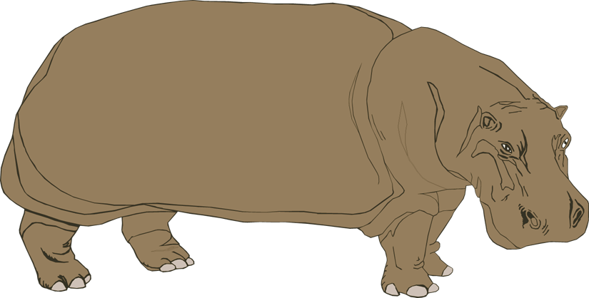 Hippo clipart dee image
