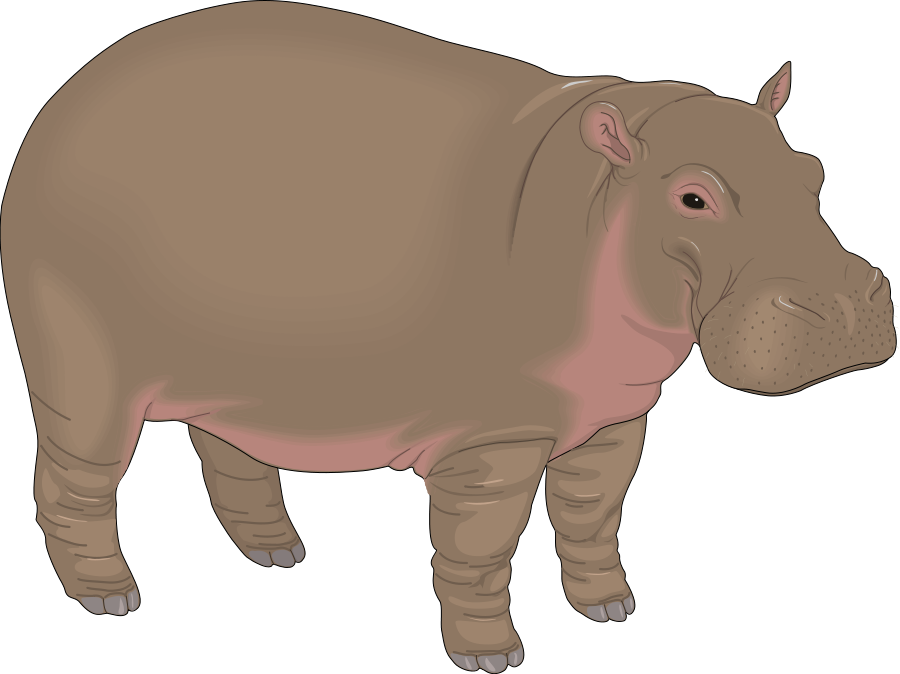 Hippo clipart free images 2
