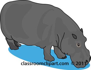 Hippo clipart hippopotamus image 2