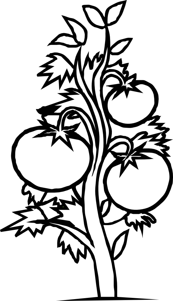 Tree  black and white black children art free download clip clipart on
