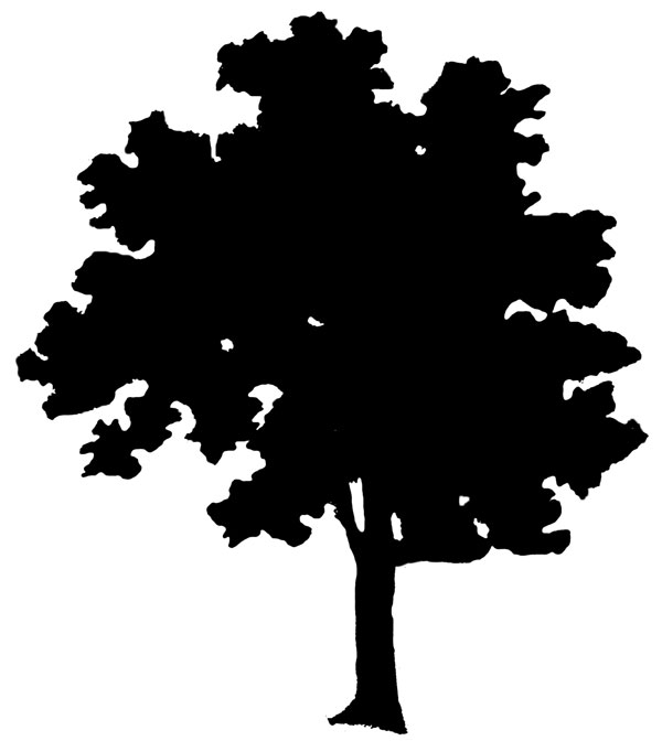 Tree  black and white clipart silhouette tree withllection 3