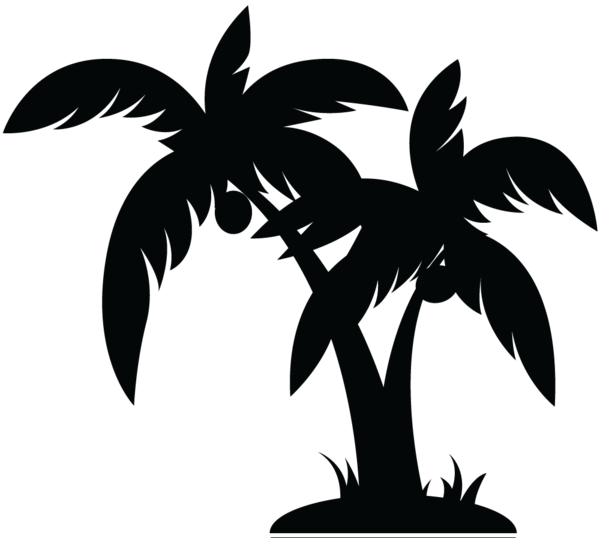 Tree  black and white palm tree clip art black and white free clipart