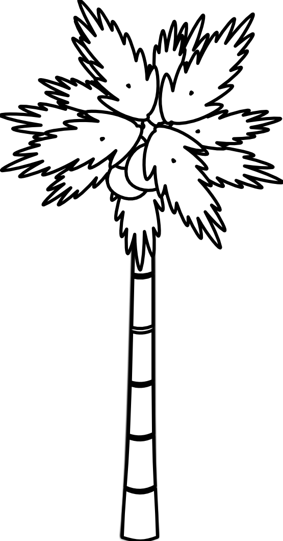 Tree  black and white palm tree clipart black and white free