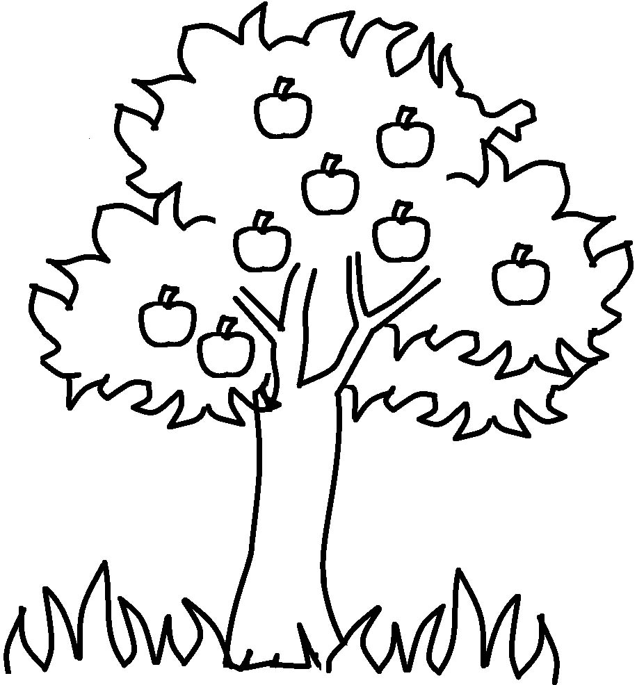 Tree  black and white tree clipart black and white llection 6