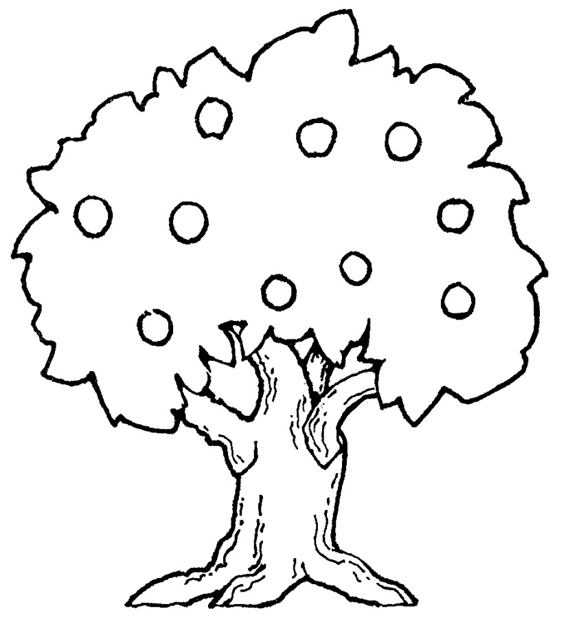 Tree  black and white tree clipart black and white