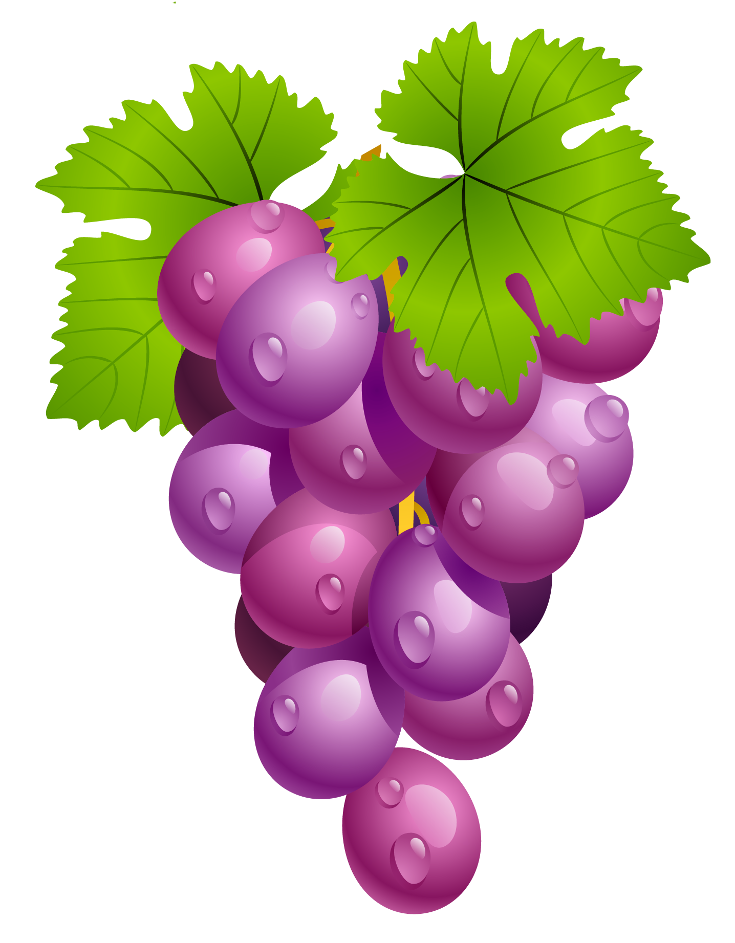 Clip art grapes 3