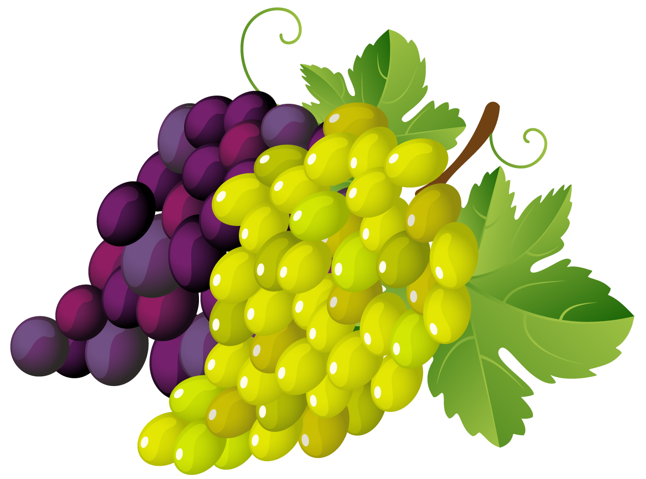 Clip art grapes