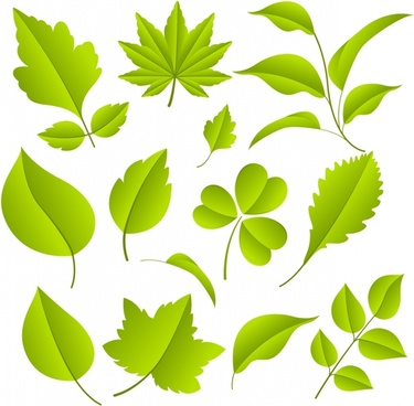 Four leaf clover clip art free vector download free 2