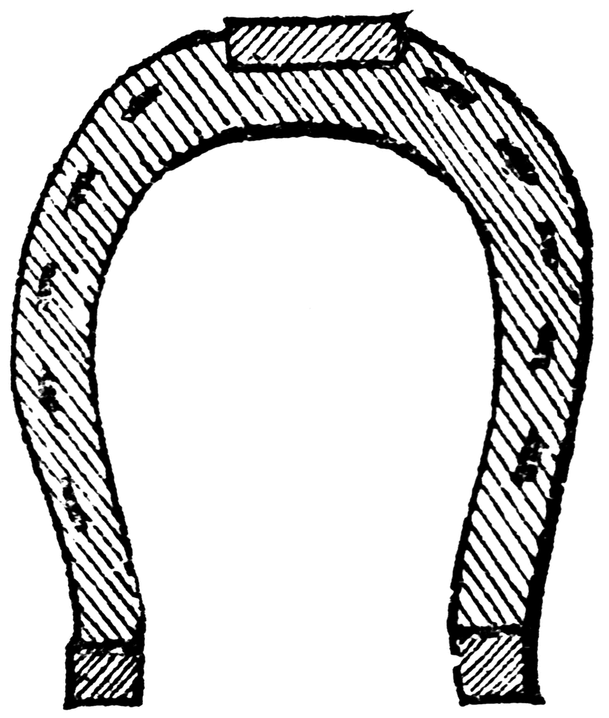 Free horseshoe clip art pictures 2