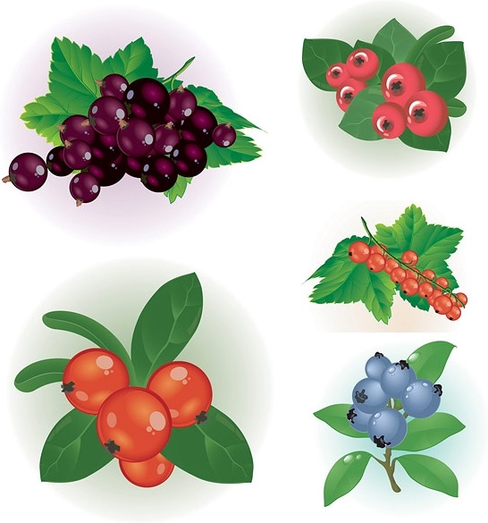 Fruits and vegetables clip art free vector download free 5