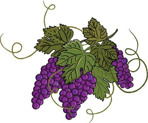 Grape clipart free grapes clip art images stock photos