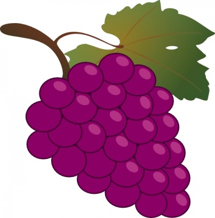 Grapes and wine clipart free images