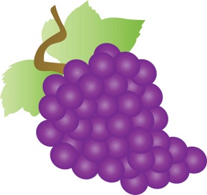 Grapes clipart free images 8