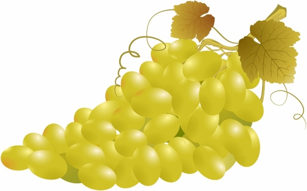 Grapes free clipart grape vineyard free vector download 3
