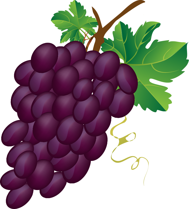 Grapes free to use clip art