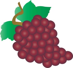 Grapes grape art on vines clip free and clipartix 2