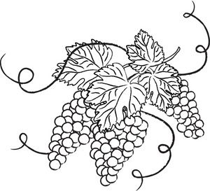 Grapes images about clip art on public domain grape