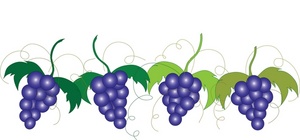 Grapes vine clipart free images 2