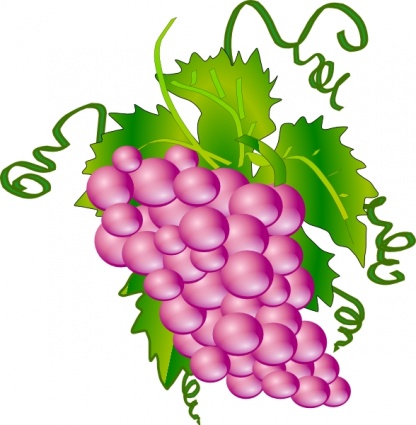 Grapes vine clipart free images 3