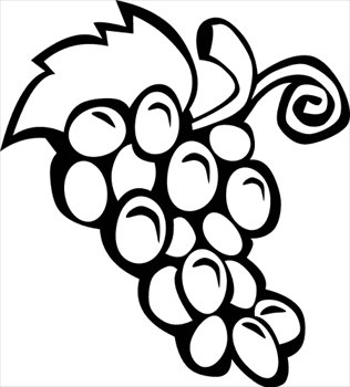 Grapes vine clipart free images