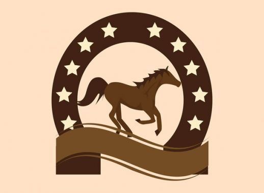Horseshoe horse shoe clip art wikiclipart
