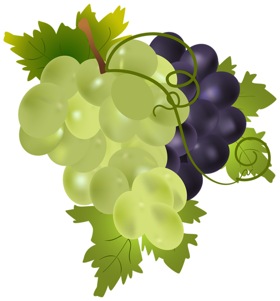 More grapes clip art download clipartix 2