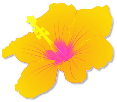Tropical free hawaiian clip art flower luau 5