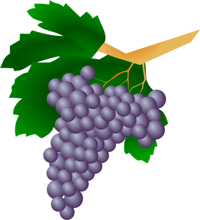 Wine grapes free clipart images
