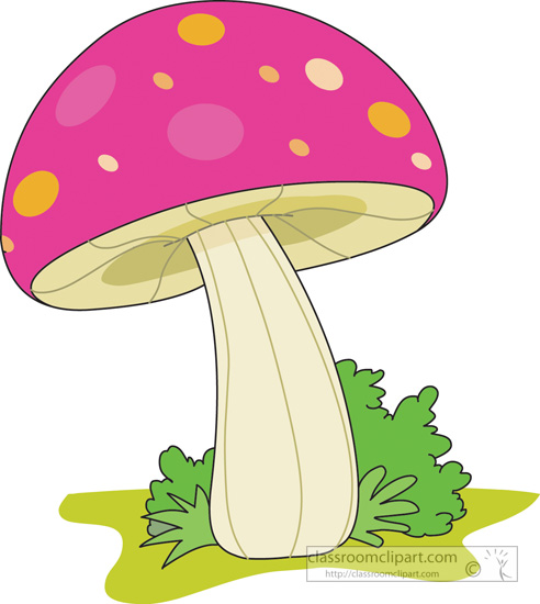 Free mushrooms pictures illustrations clip art and graphics 3