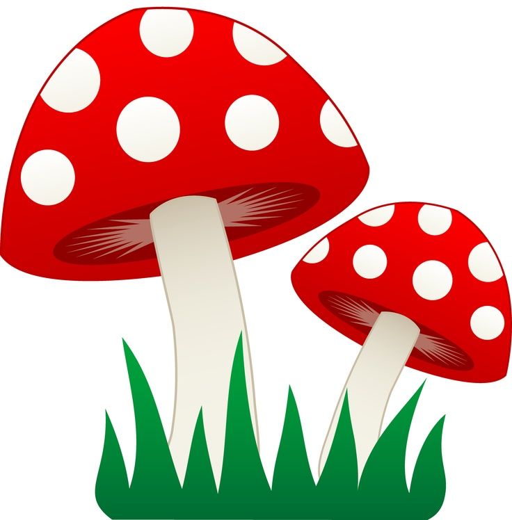 Ideas about mushroom clipart on