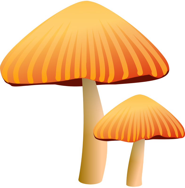 Mushroom free to use clip art 4