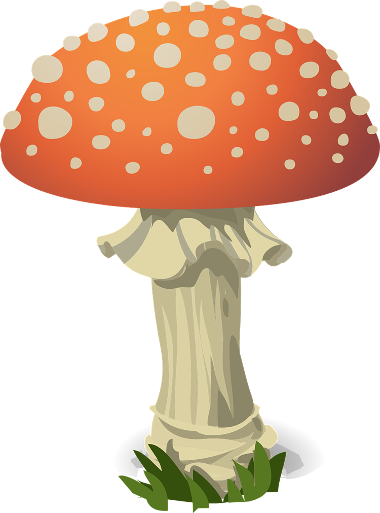 Mushroom free to use clip art 6