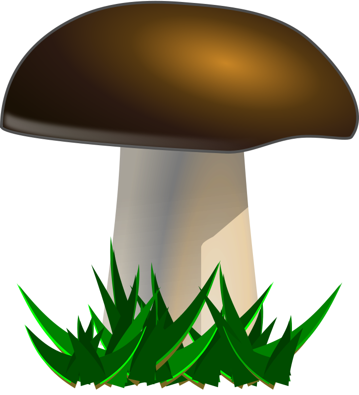 Mushroom free to use clipart image