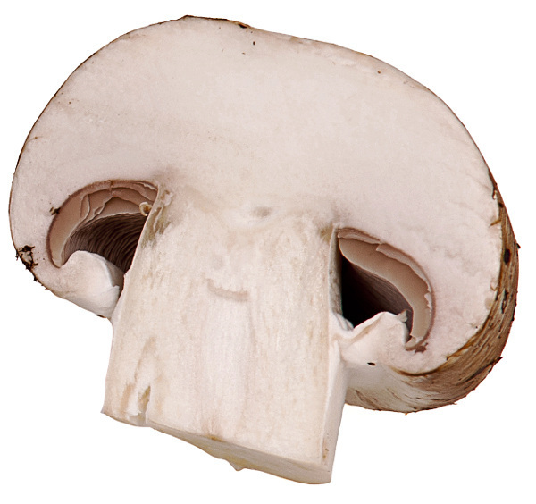 Mushrooms clipart image 5