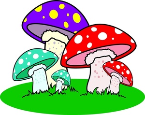 Mushrooms clipart image lots oflorful spotted mushrooms